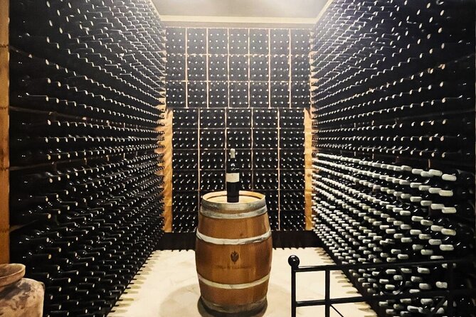 Small Group Wine Tasting Experience From Palermo - Booking and Contact