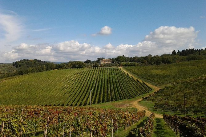 Small-Group Wine Tasting Experience in the Tuscan Countryside - Cancellation Policy