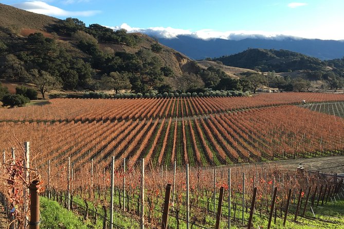 Small-Group Wine Tasting Tour of Santa Barbara Wine Country - Cancellation Policy