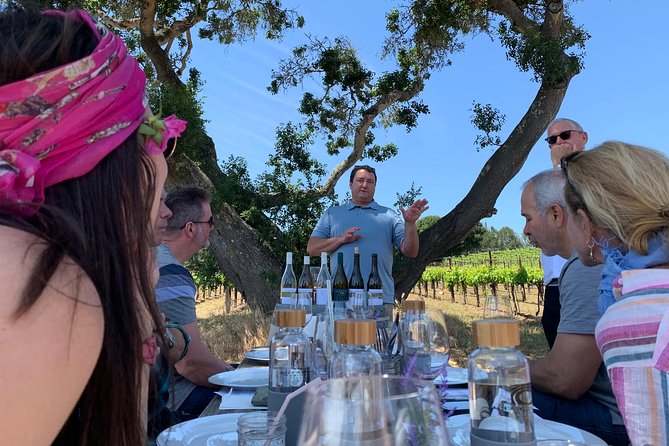 Small-Group Wine Tasting Tour of Santa Barbara Wine Country - Family-Owned Wineries