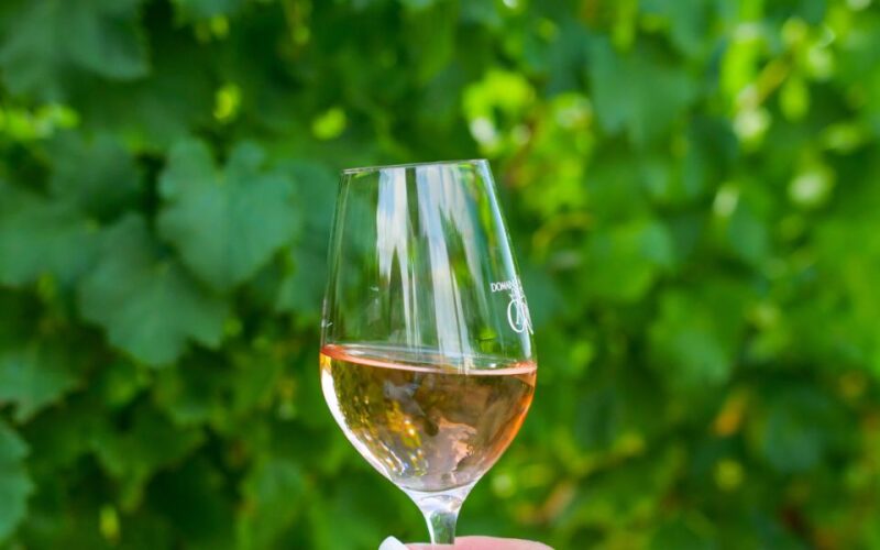 Small Group Wine Tour From Saint-Tropez - Duration and Participants