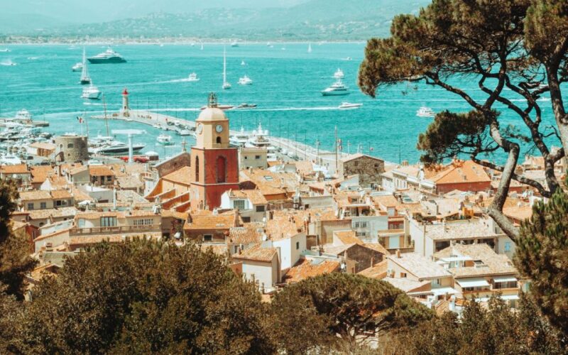 Small Group Wine Tour From Saint-Tropez - About the Guide