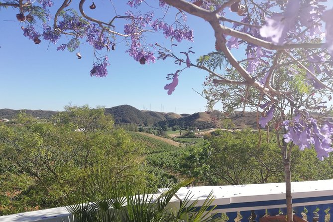 Small-Group Wine Tour & Silves Exploration (from Albufeira) - Sampling Local Wines and Tapas
