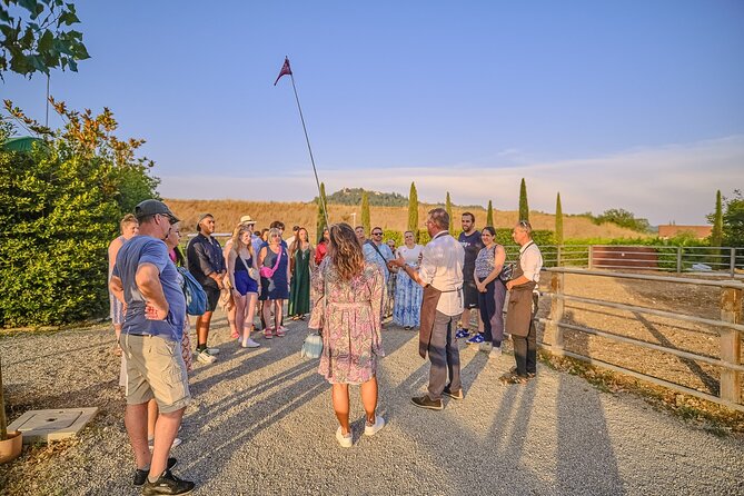 Small-Group Winery Tour With Tasting and Dinner in Chianti Vineyards - Winery Visit Highlights