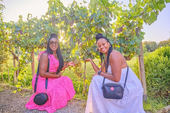 Small-Group Winery Tour With Tasting and Dinner in Chianti Vineyards - Transportation and Meeting Details