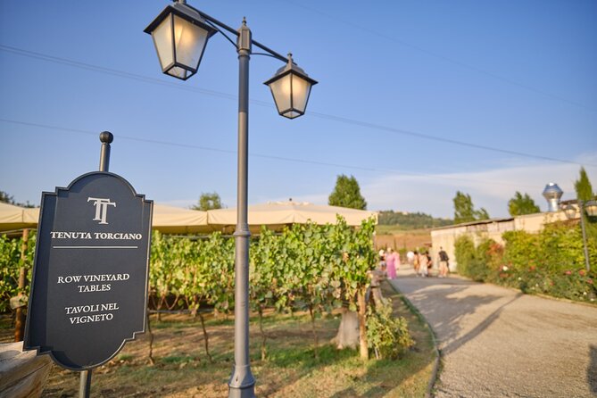 Small-Group Winery Tour With Tasting and Dinner in Chianti Vineyards - Accessibility and Weather Policy