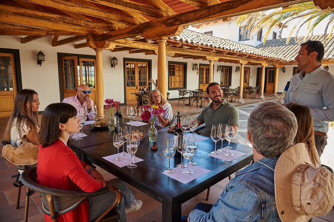 Small Group Wines and Flavours Guided Walking Tour - Tour Experience