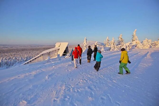 Small-Group Wintertime Amethyst Mine Visit From Rovaniemi - Opportunity to See Northern Lights