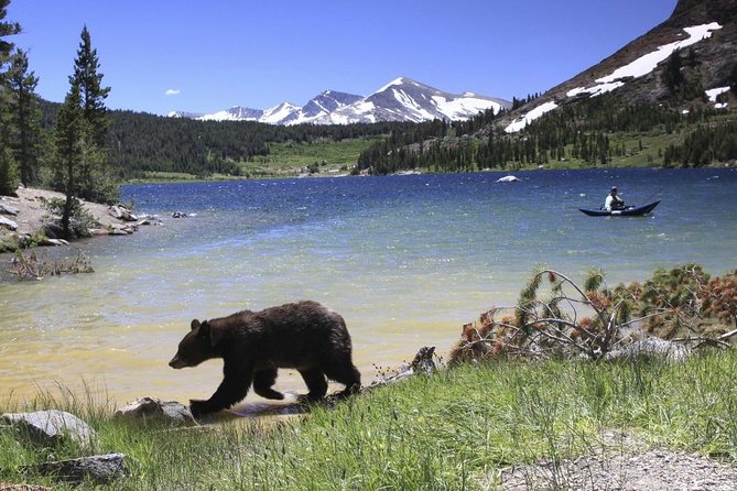 Small Group Yosemite and Giant Sequoias Day Trip From San Francisco - Scenery and Attractions