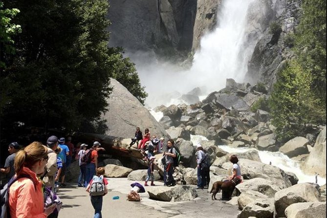 Small Group Yosemite and Giant Sequoias Day Trip From San Francisco - Tour Reviews