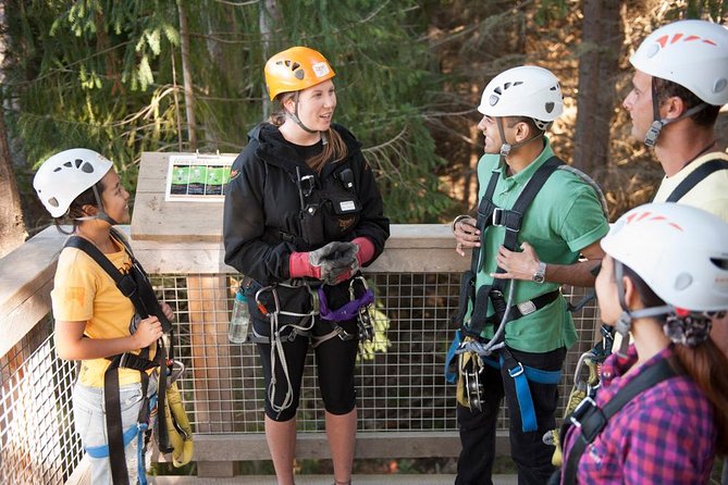 Small-Group Zipline Adventure in Queenstown - Included Features and Meeting Information