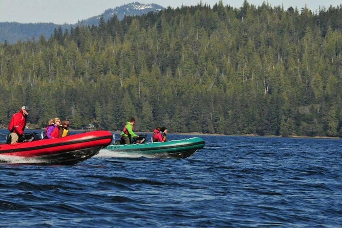 Small-Group Zodiac Wilderness Adventure From Ketchikan - Pricing