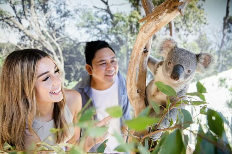 Small Group: Zoo, Blue Mountains, Scenic World Mandarin Tour - Scenic World: Unlimited Rides and Breathtaking Perspectives