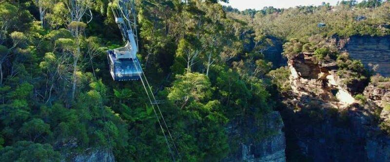 Small Group: Zoo, Blue Mountains, Scenic World Mandarin Tour - The Value of This Tour