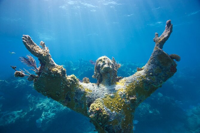 Small - Guided Shallow 2 Tank Dive Experience in Key Largo ALL GEAR INCLUDED - Diver Requirements