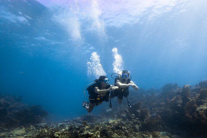 Small - Guided Shallow 2 Tank Dive Experience in Key Largo ALL GEAR INCLUDED - Guided Dive Sites