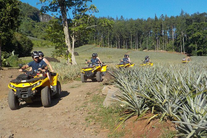 Small Quad Tour 2h30 Quad excursion in Moorea (single or two-seater) - Authentic Insights from Travelers