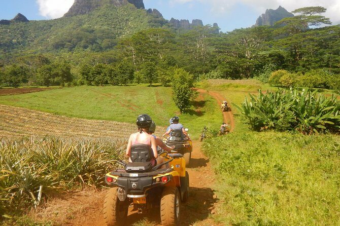 Small Quad Tour 2h30 Quad excursion in Moorea (single or two-seater) - Final Thoughts: Is This the Right Experience for You?