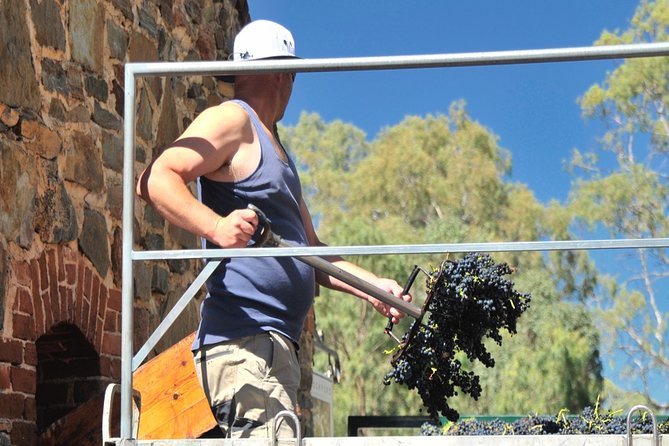 Small Tour Barossa Valley Voyager Tour From Adelaide - Group Size and Age