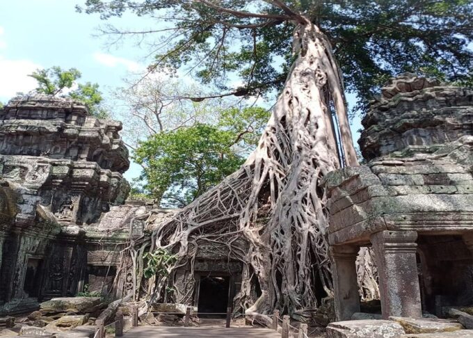 Small Tour in Angkor Archaeological Park - Booking and Cancellation