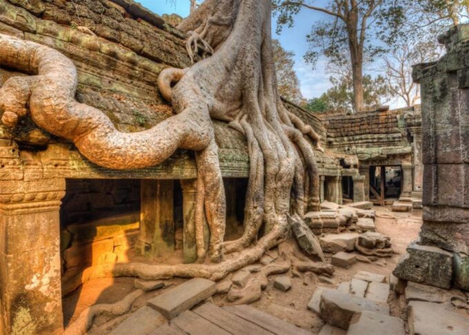 Small Tour in Angkor Archaeological Park - Contact Information