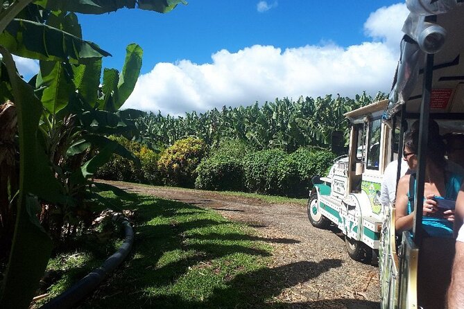 Small Train Tour of a Banana Farm in Martinique - Meeting and Pickup Details