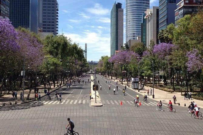 Small VIP Group: The Ultimate Mexico City Tour - The Hidden Gems and Practical Details