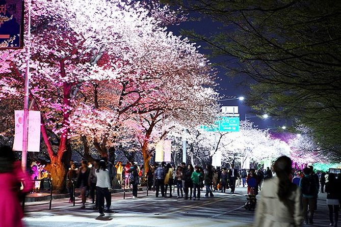 Smallgroup 7day Korea Package Tour With Seoul Gyeongju Busan Jeju - Inclusions and Exclusions