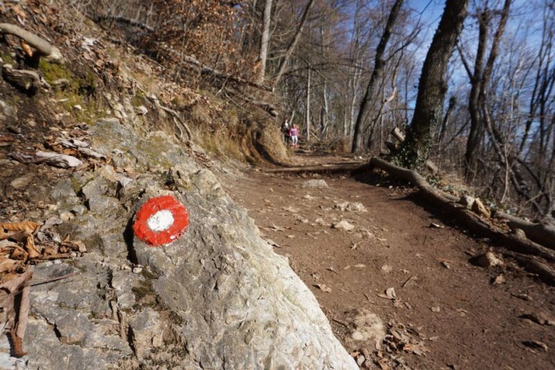 ŠMarna Gora: Hiking and Food Tour From Ljubljana - Preparing for the Hike