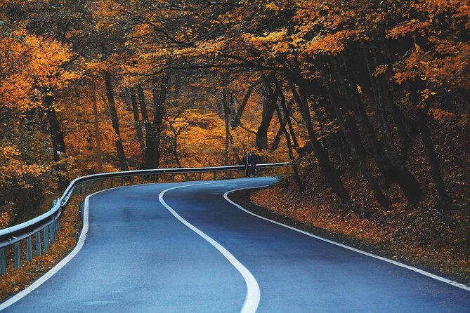 Smartphone Audio Driving Tour Between Huntsville & Toronto - Flexible Tour Experience