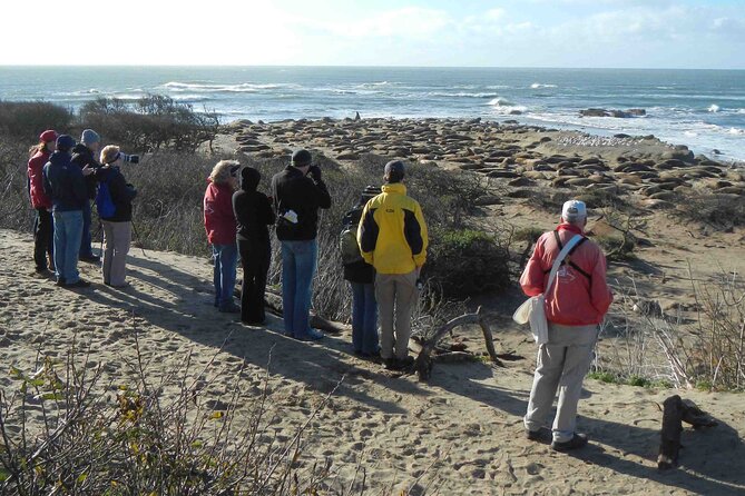 Smartphone Driving Tour Between Santa Maria & Monterey Big Sur - Navigating the Scenic Route