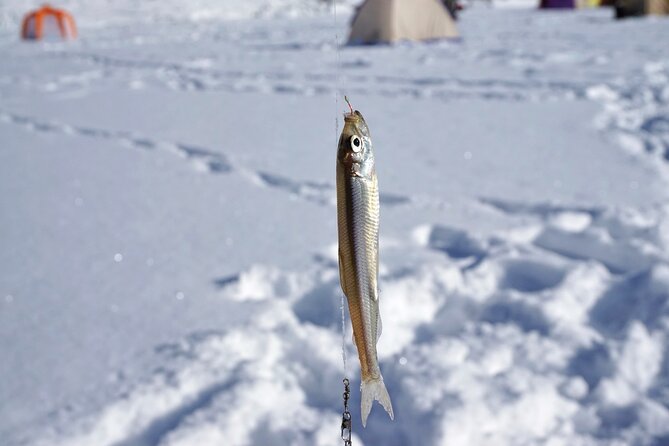 Smelt Fishing and Hot Springs Experience With Lunch Near Sapporo - Key Points