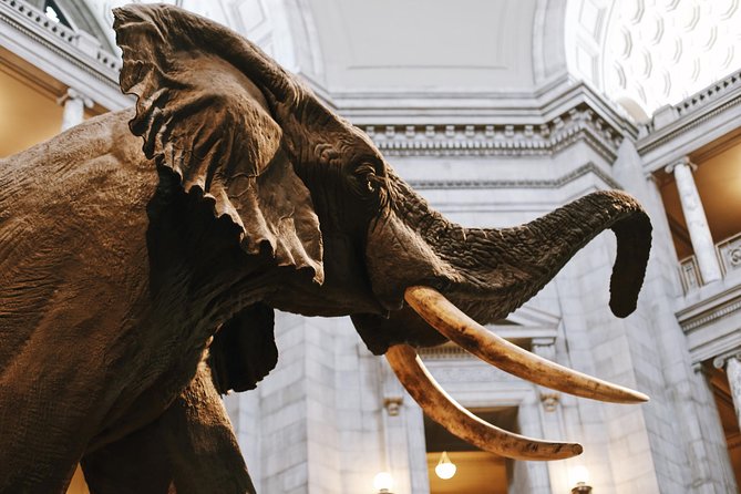Smithsonian Museum of Natural History - Exclusive Guided Tour - Tour Duration