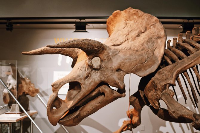 Smithsonian Museum of Natural History - Exclusive Guided Tour - Public Transportation Accessibility