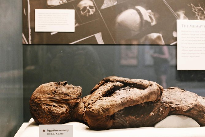 Smithsonian Museum of Natural History Guided Tour - Semi-Private 8ppl Max - Occasional Museum Closures