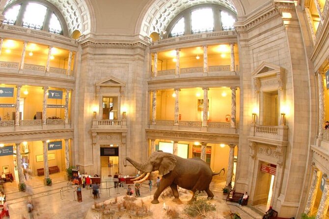 Smithsonian Museums Day Trip - What to Expect During the Tour