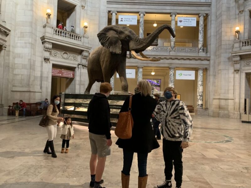 Smithsonian National Museum of Natural History Guided Tour - Booking Information