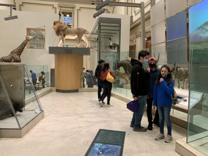 Smithsonian National Museum of Natural History Guided Tour - Guided Tour Benefits