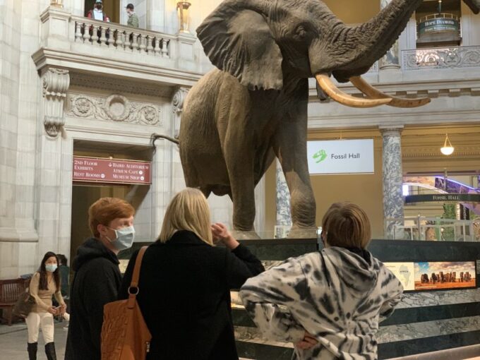 Smithsonian National Museum of Natural History Guided Tour - Frequently Asked Questions
