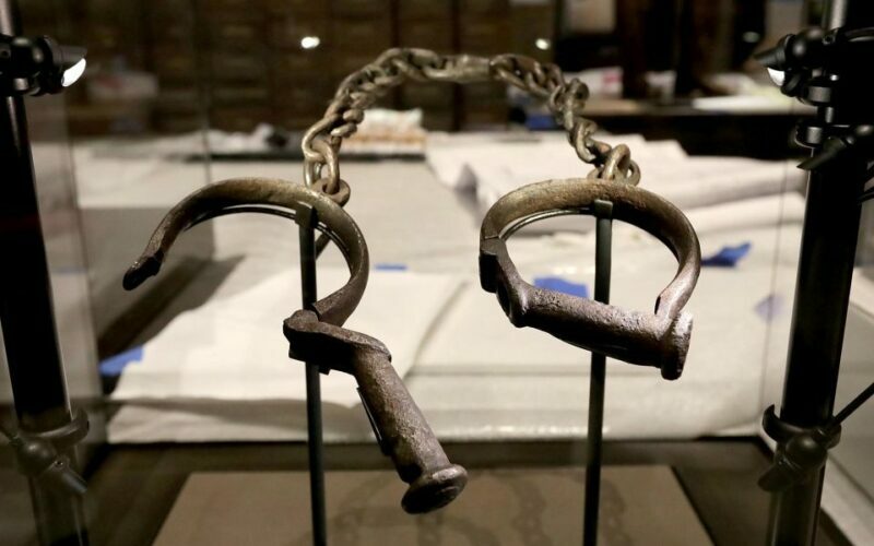 Smithsonian Natural History + Museum of American History 8pp - What You Can Expect from the Tour