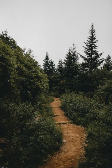Smoky Mountains National Park: Private Full-Day Tour - Experience Highlights