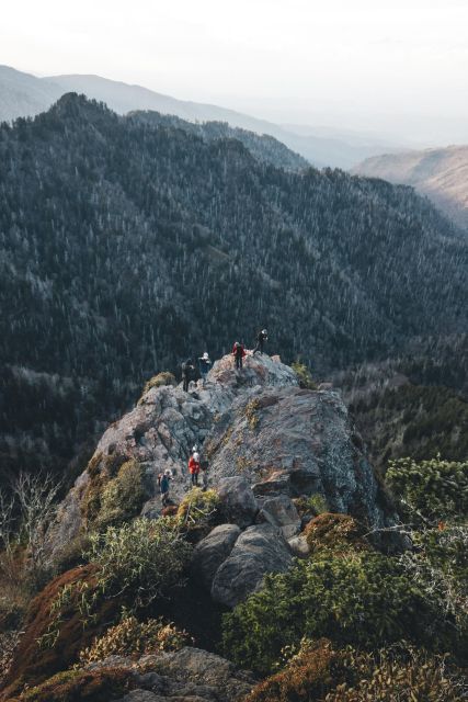 Smoky Mountains National Park: Private Full-Day Tour - Included Amenities