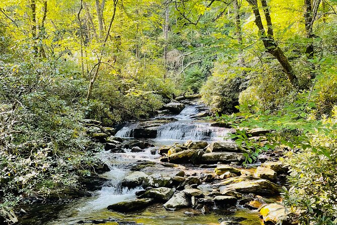 Smoky Mountains Newfound Gap Jeep Tour - Discovering the Gaps History