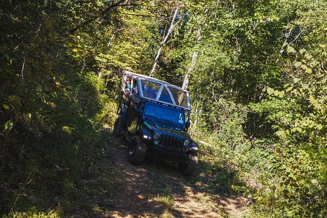Smoky Mountains Newfound Gap Jeep Tour - Navigating the Off-Road Adventure