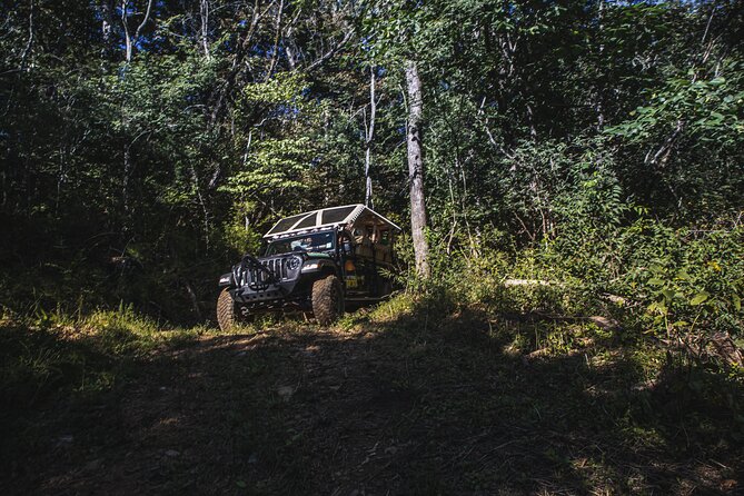Smoky Mountains Roaring Fork Guided Sightseeing Tour by Jeep - Meeting and Pickup