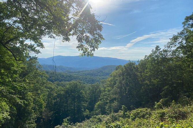 Smoky Mountains Roaring Fork Guided Sightseeing Tour by Jeep - Log Lodges