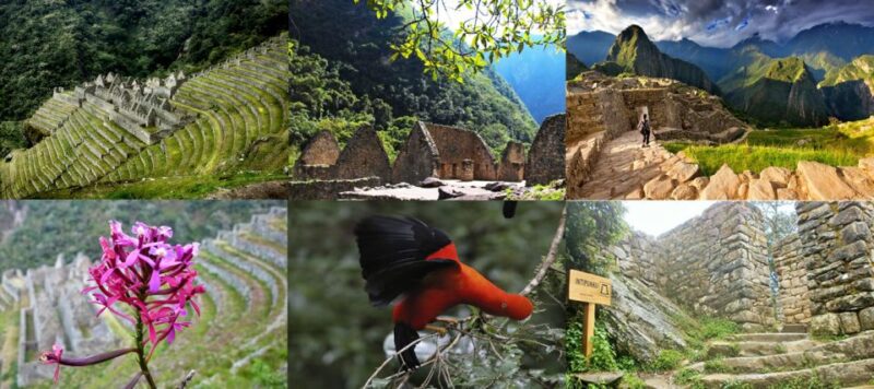 Smoll Group | Inca Trail 2 Days - New Route to Machu Picchu - Frequently Asked Questions