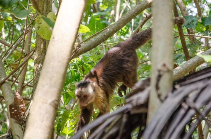 SMR TAYRONA NATIONAL PARK - Trek to Cabo San Juan - Booking Information