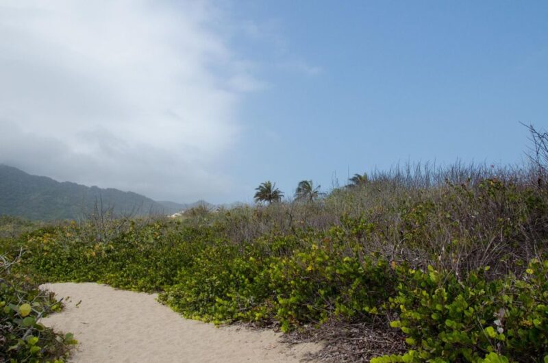 SMR TAYRONA NATIONAL PARK - Trek to Cabo San Juan - What to Expect