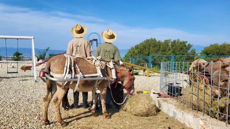 Šmrika (near Rijeka/Krk/Crikvenica) Donkey Farm Entry Ticket - Experience Highlights